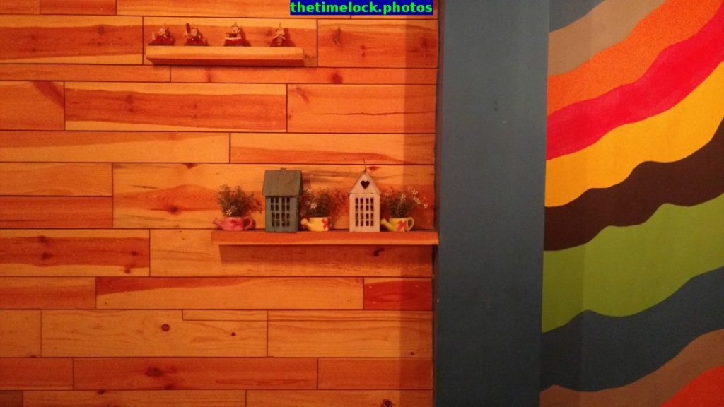 Young Wild Free Cafe