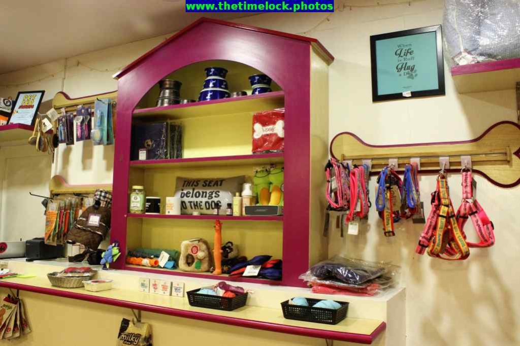 pet accessories on sale