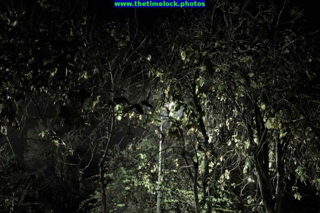 thursday challenge shadows