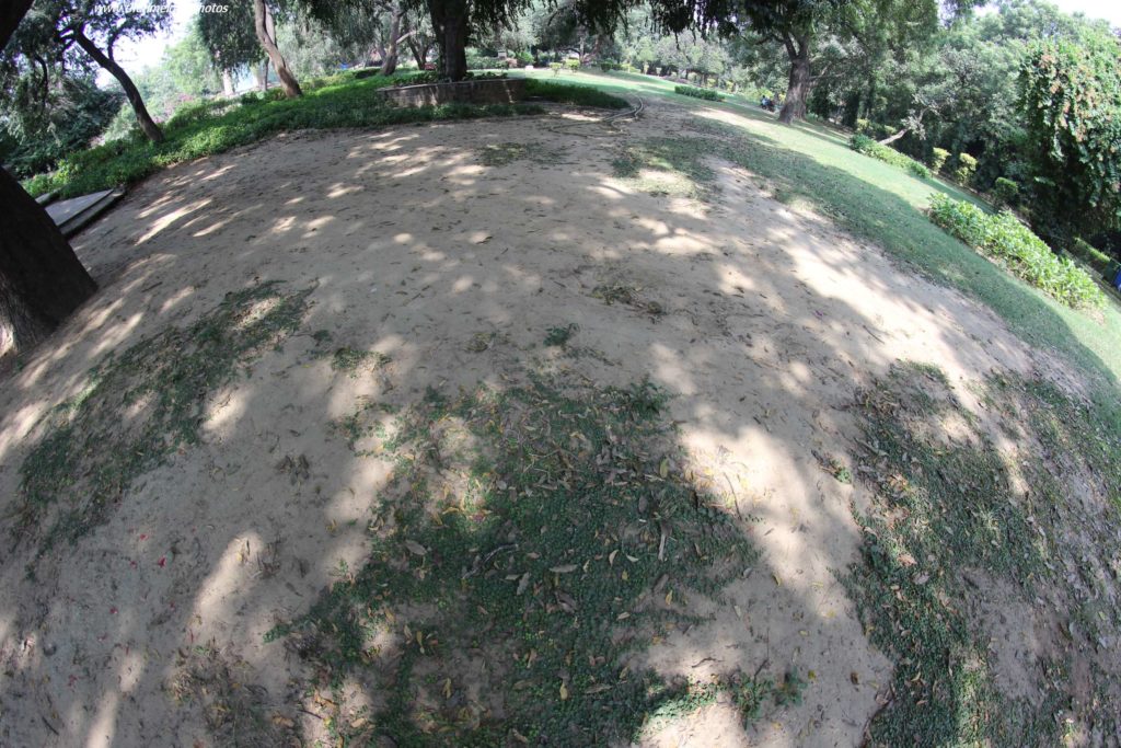fish eye photo of shadows
