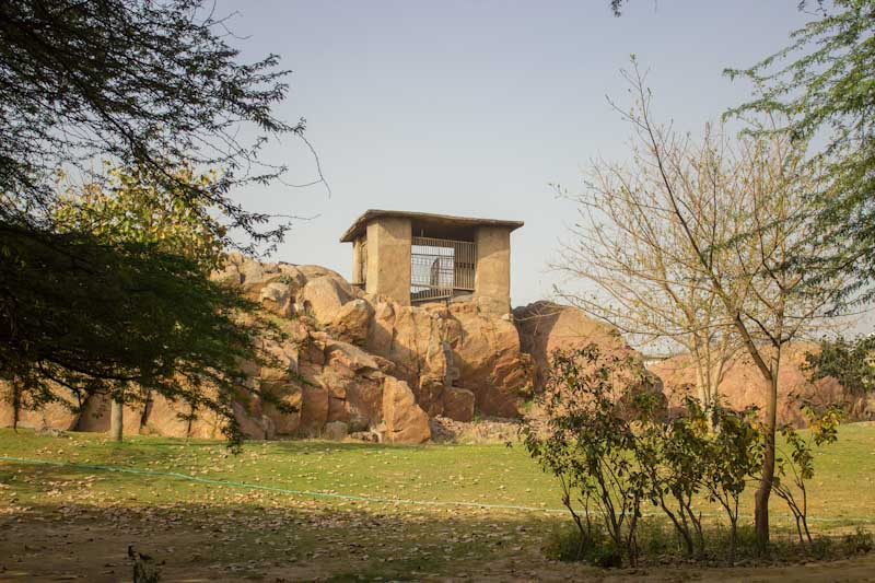 Ashokan edicts Delhi